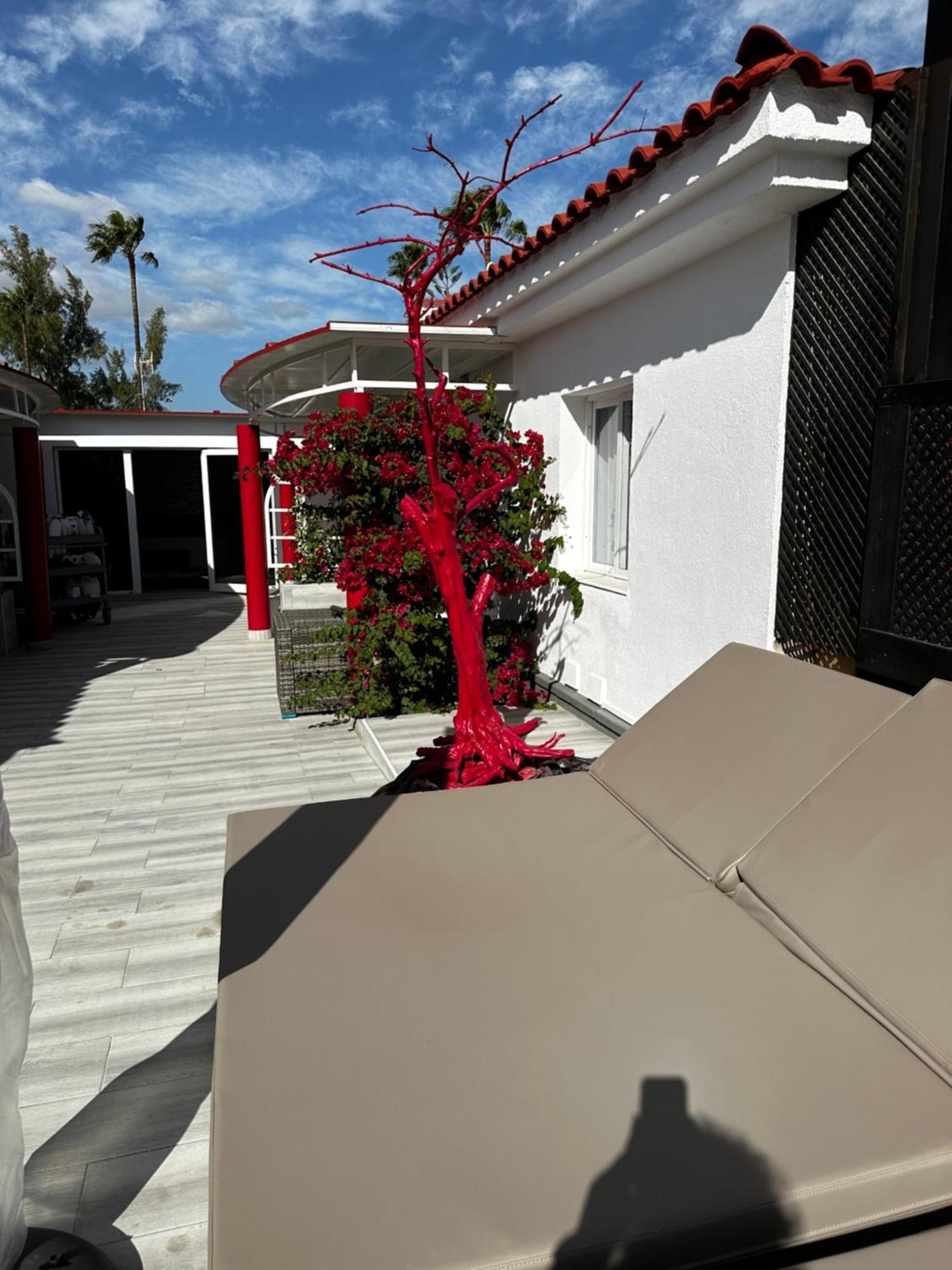 BUNGALOWS LAURA | ⋆⋆⋆ | MASPALOMAS, SPAIN | SEASON DEALS FROM €127